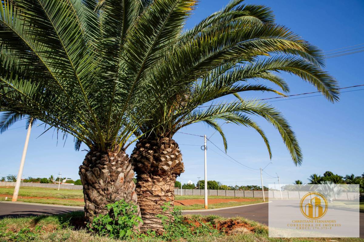 TERRENO Á VENDA NO CONDOMÍNIO GREN PARK EM ARAÇATUBA - Christiane Fernandes - Corretora de Imóveis